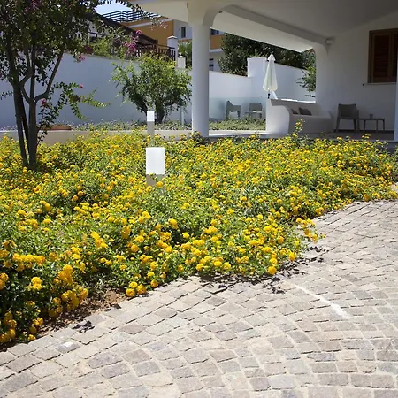 Panzió Il Portico Matino