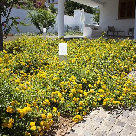 Il Portico Bed and breakfast